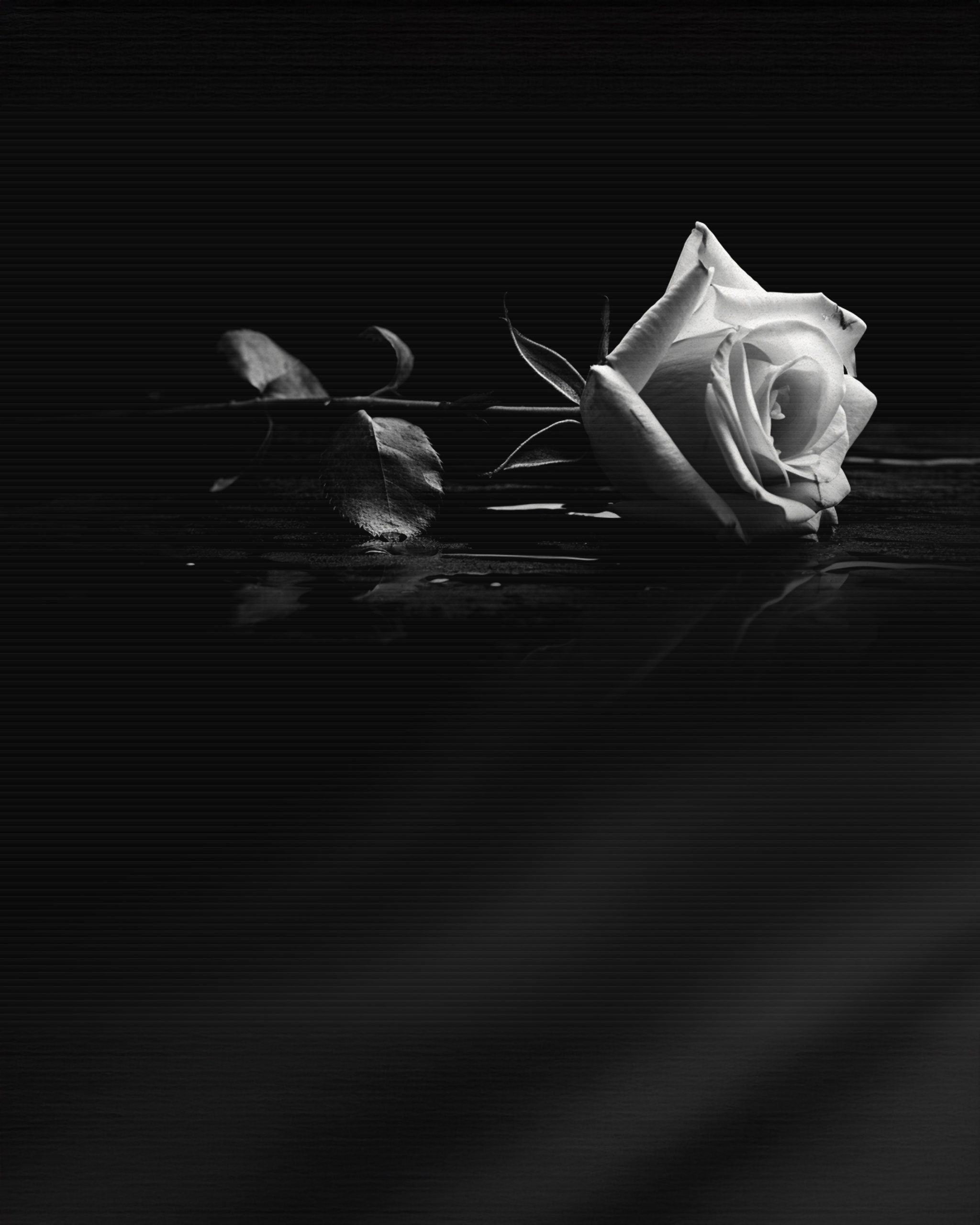 Serviço pós funeral