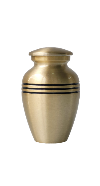 Urna de cinzas