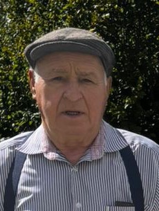 ANTÓNIO DA MOTA CORREIA