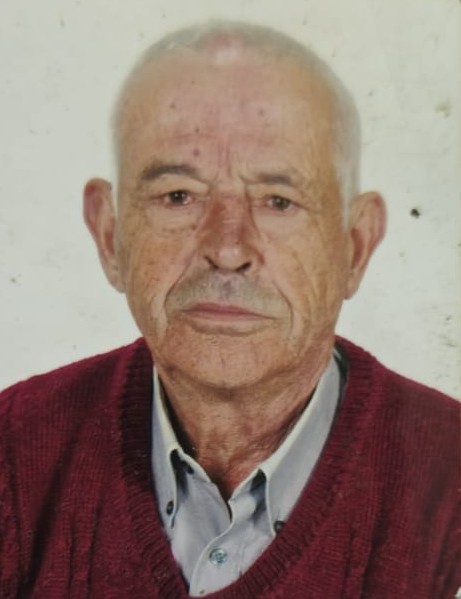 JOSÉ ANTÓNIO DE MATOS HENRIQUES